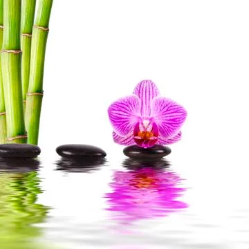 Spa decoration concept Stock Photos