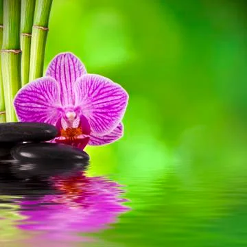 Spa decoration concept Stock Photos