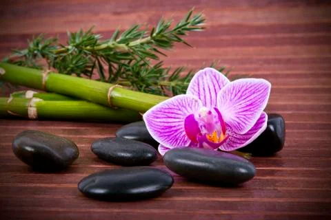 Spa decoration concept Foto stock