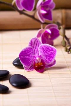 Spa decoration concept Foto stock