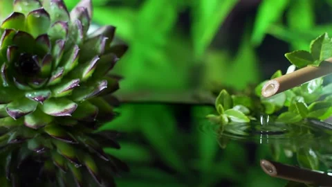 Spa , dropping a pure water drop from a bamboo. relaxation, wellness, body care Stock Footage 130654427
