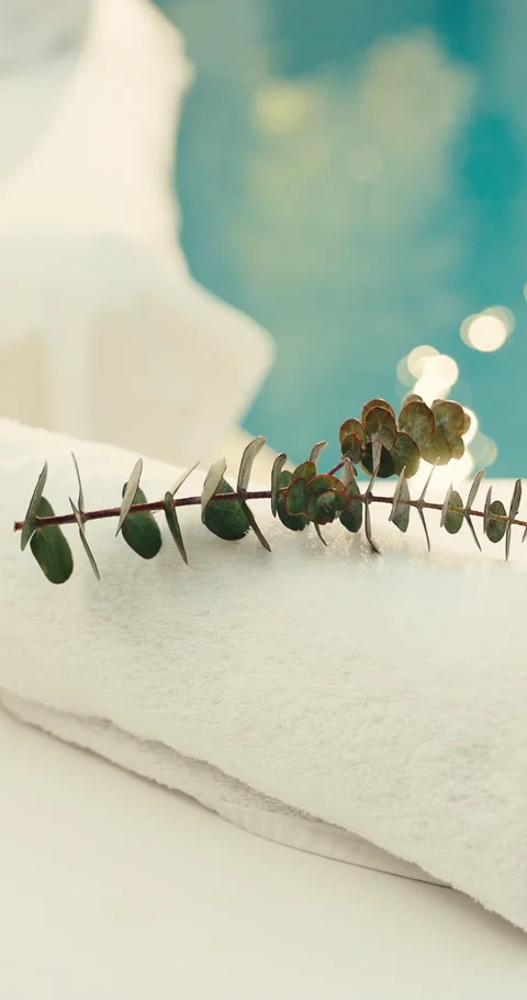Spa, empty and towel with eucalyptus at resort for aromatherapy, skincare Stock Footage 345633424
