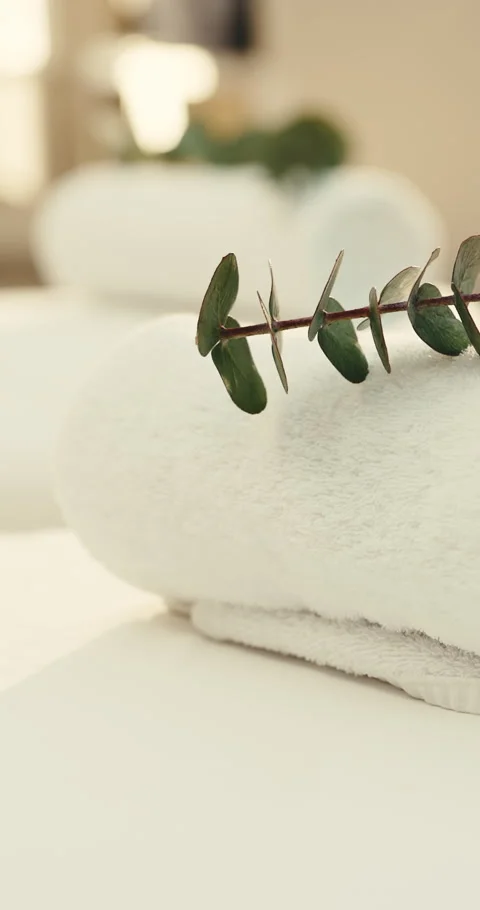 Spa, empty and towel with eucalyptus on bed for aromatherapy, skincare treatment Stock Footage 345633783