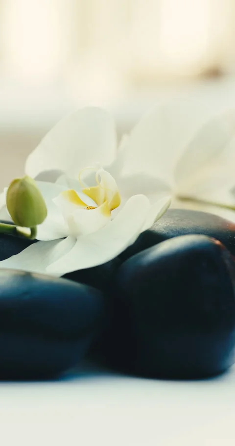 Spa, empty and towel with hot stones at resort for aromatherapy, skincare Stock Footage 345633579