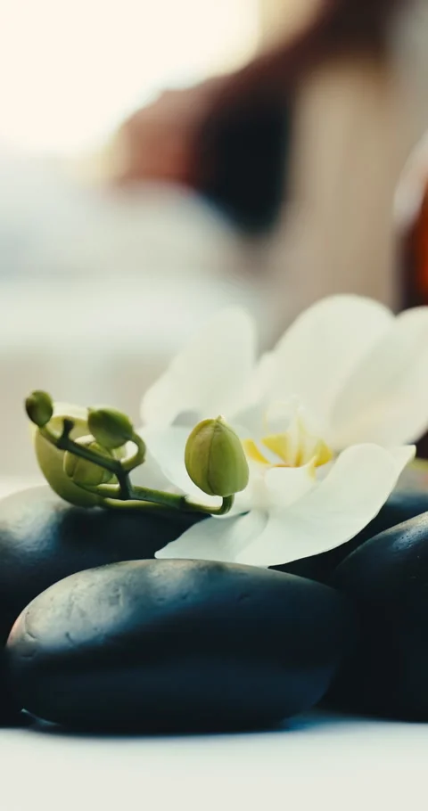 Spa, empty and towel with hot stones, flower and scent for aromatherapy Stock Footage 345633830