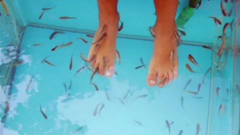 Spa with fish. Garra Rufa does the pedicure. Baby feet in an aquarium with fi Stock Footage