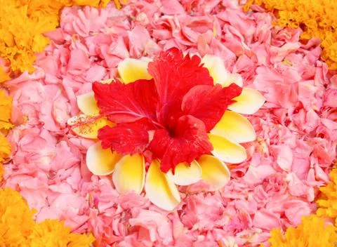 Spa flowers background Stock Photos