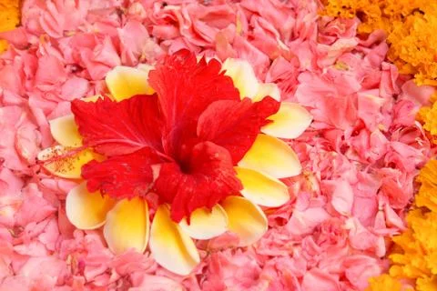 Spa flowers background Stock Photos