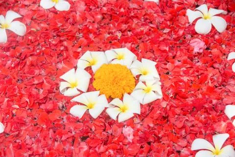 Spa flowers background Stock Photos
