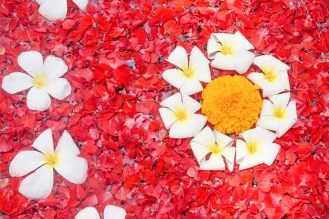 Spa flowers background Stock Photos