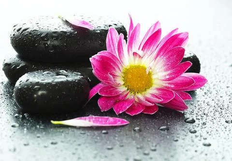 Spa Items Stock Photos