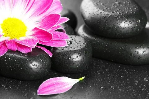 Spa Items Stock Photos