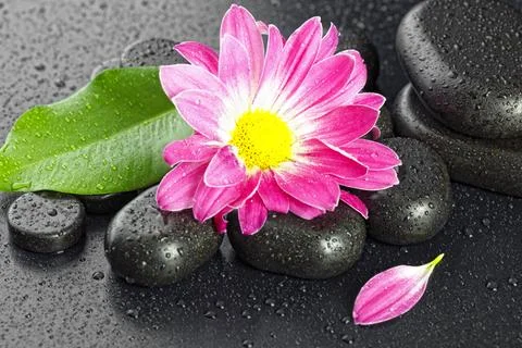 Spa Items Stock Photos