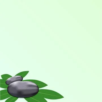 Spa leaves stone background Stock Illustration