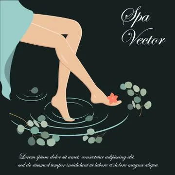 Spa legs vector. Slim and long woman legs on the spa background Stock Illustration