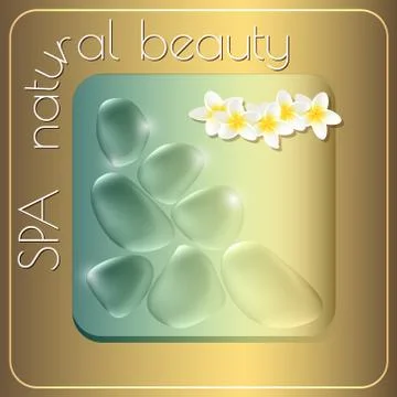 Spa natural beauty theme vector illustration with drops  and exo Illustrazione stock