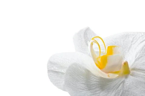 Spa or relax theme in white light tonality Stock Photos