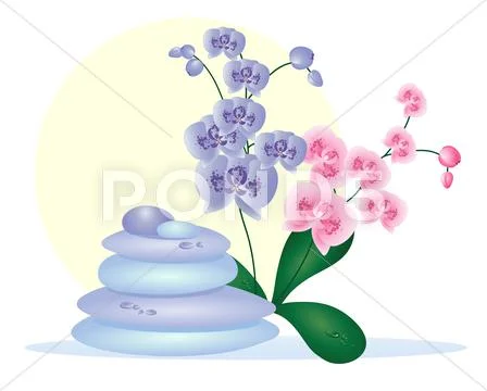 Spa pebbles with orchids 스톡 일러스트