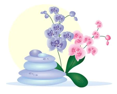 Spa pebbles with orchids Illustrazione stock