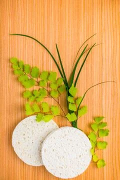Spa set of sponge with green branches fern on wooden background 스톡 사진
