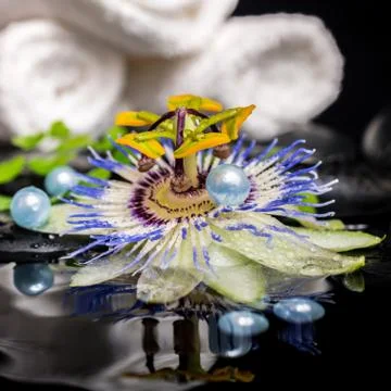 Spa setting of passiflora flower, branch fern, stacked towels, zen basalt sto Stock Photos