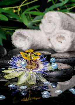 Spa setting of passiflora flower, branches, stacked towels, zen basalt ston.. 写真素材
