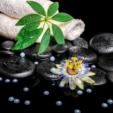 Spa setting of passiflora flower, green  leaf, towels, zen basalt stones with 스톡 사진