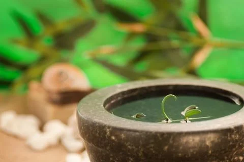 Spa setting Stock Photos