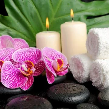 Spa setting of twig stripped violet orchid (phalaenopsis ), zen stones with d Stock Photos