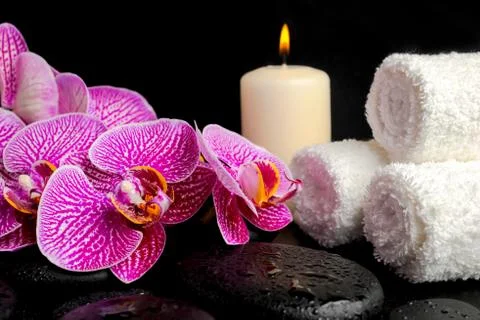 Spa setting of twig stripped violet orchid (phalaenopsis ), zen stones with d 스톡 사진