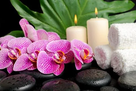Spa setting of twig stripped violet orchid (phalaenopsis ), zen stones with d 写真素材