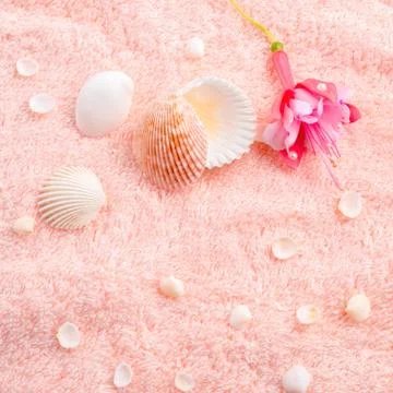 Spa soft concept with delicate pink flower fuchsia, seashells 스톡 사진