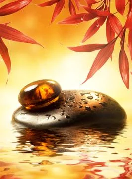 Spa still life Illustrazione stock