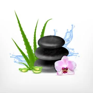 Spa stone with aloe Stock Illustration
