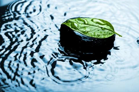 Spa stone on leaf in water Stock Photos