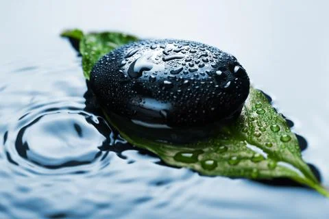 Spa stone on leaf in water Stock Photos