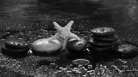 Spa stones and starfish on a dark background with water drops and reflection Stock Photos