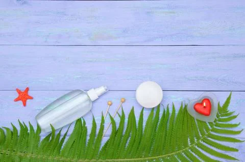 SPA theme. Lotion and face cream on a plant leaf ostrich fern. Stock Photos