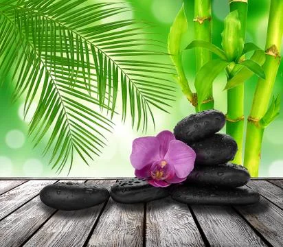 Spa treatment 스톡 일러스트