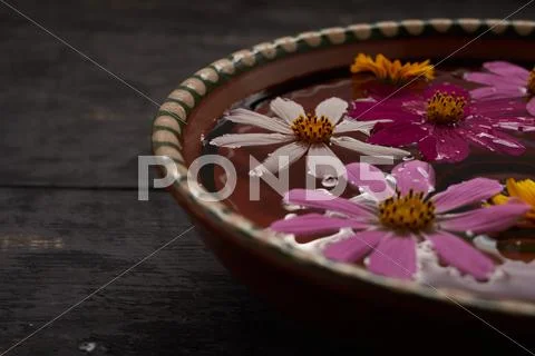 Spa treatments with flowers and water Stock Photos