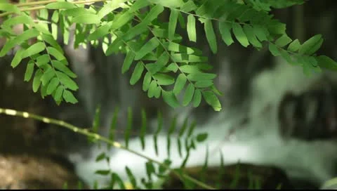 Spa Vacation Stock Footage 11123129