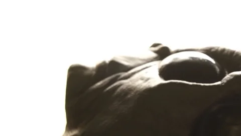 Space Alien On A Slab Video stock 90565742