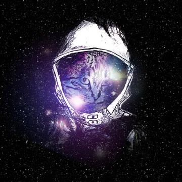 Space Cat Portrait Stock Illustration