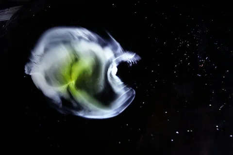 Space Clouds Nebula Texture Background of cosmic star field galaxy in 8K Stock Footage 86611972