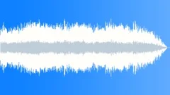 Space DonkeyStock Music