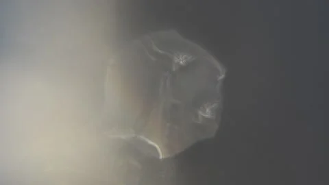 Space fantasy retreating space object Vídeo Stock 144726906