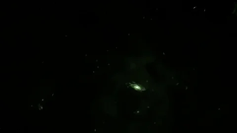 Space In Fast Motion In The Beautiful Green Color Vidéo 103340819