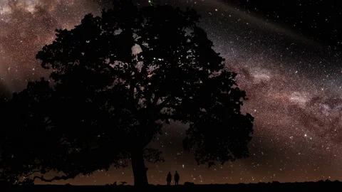 Space galaxy time lapse, silhouette tree Stock Footage 139620441
