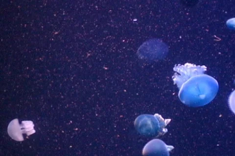 Space Invaders Stock Footage 311735