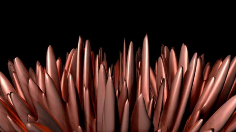 Space  leaves field Video stock 35283928